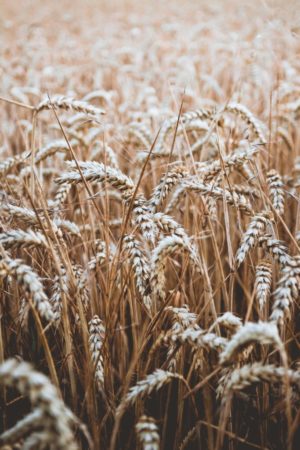 niklas-hamann-_SIAlvImQQg-unsplash
